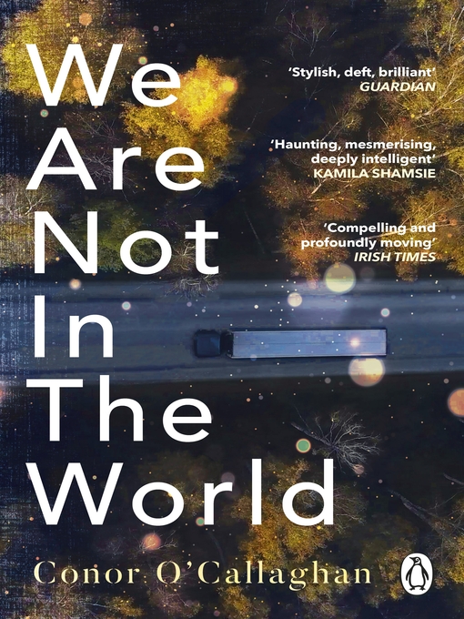 Title details for We Are Not in the World by Conor O'Callaghan - Wait list